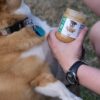 Sherman Snacks CBD Peanut Butter and a Furry Friend- What's Your Treat