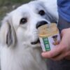 Sherman Snacks CBD Peanut Butter and a Furry Friend- What's Your Treat