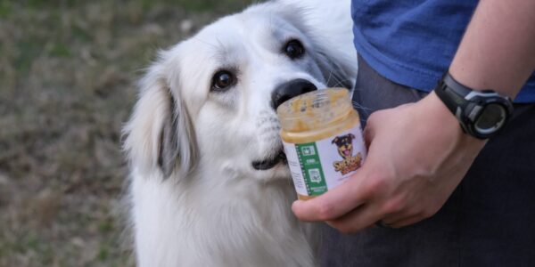 Sherman Snacks CBD Peanut Butter and a Furry Friend- What's Your Treat