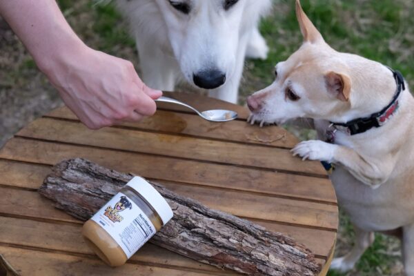 Sherman Snacks CBD Peanut Butter and a Furry Friend- What's Your Treat