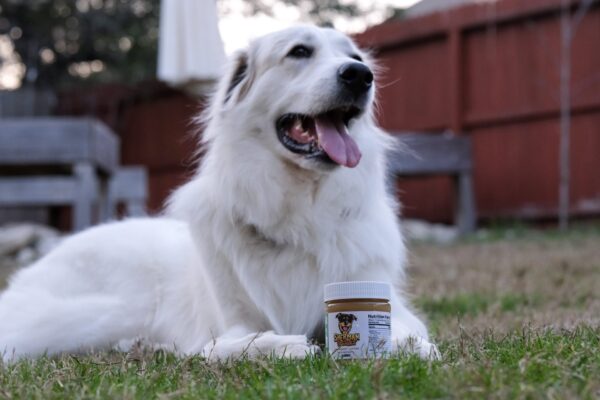 Sherman Snacks CBD Peanut Butter and a Furry Friend- What's Your Treat