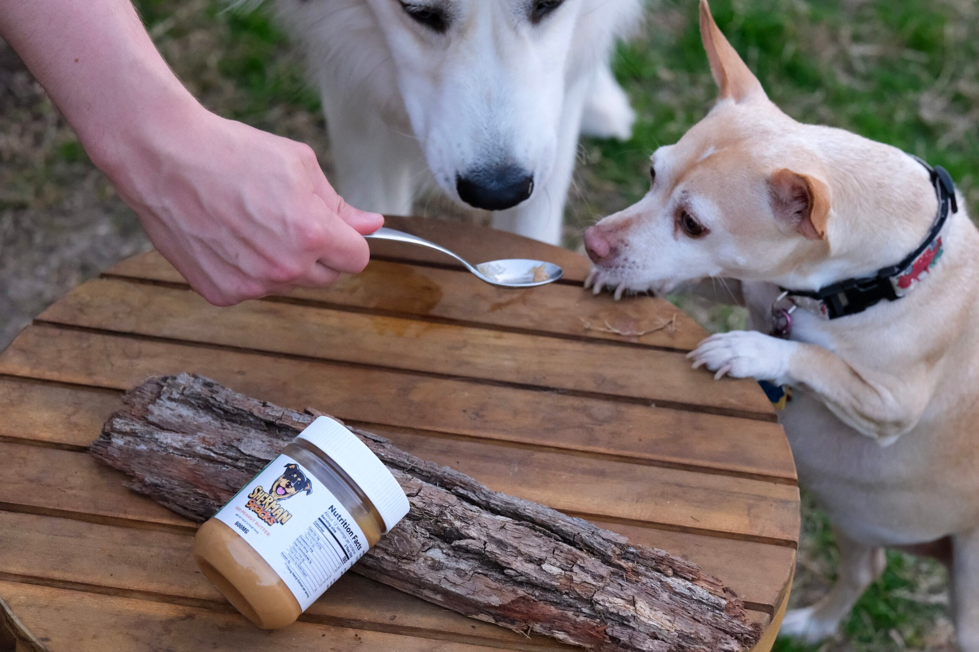 Health Benefits of CBD Dog Peanut Butter