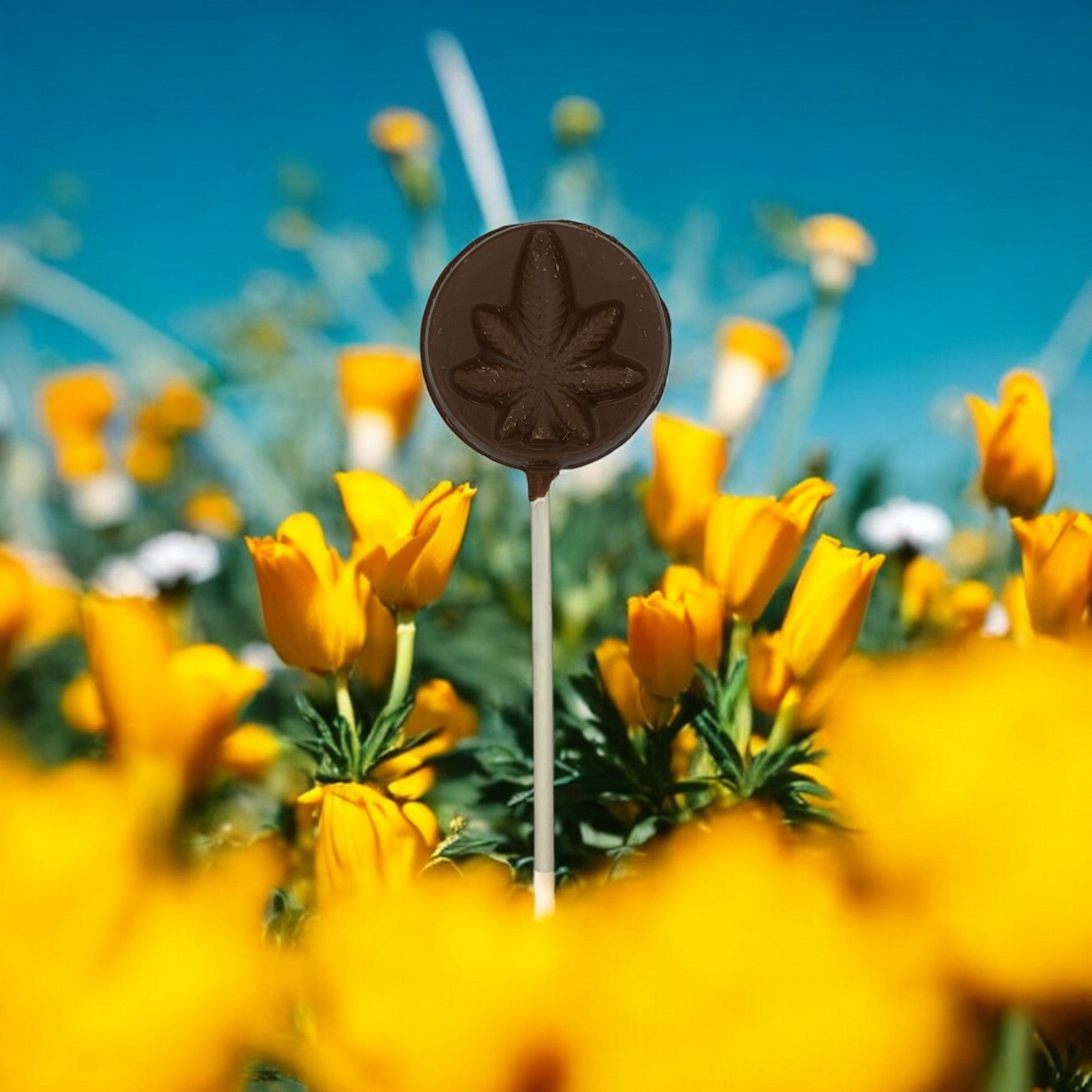 best delta 9 chocolate